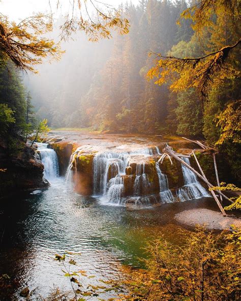 Gifford Pinchot National Forest