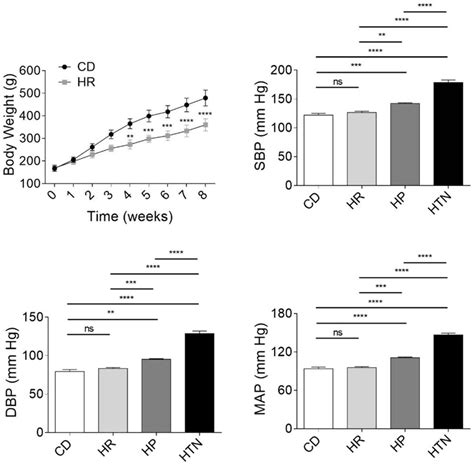 Application Of Mir P To Diagnosis Treatment Of Cardiac Fibrosis