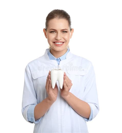 Female Dentist Holding Tooth Model On White Stock Image Image Of