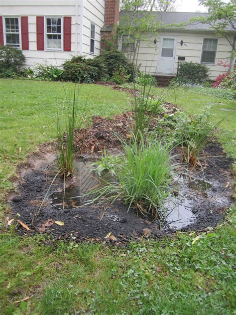 Princeton Nature Notes Frontyard Raingarden