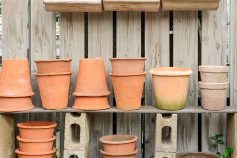 Saiba Como Escolher O Vaso Ideal Para Cada Planta Valorize O Ambiente