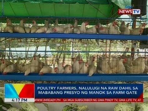 Poultry Farmers Nalulugi Na Raw Dahil Sa Mababang Presyo Ng Manok Sa