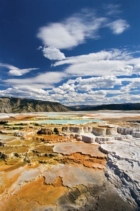 A VUELO DE UN QUINDE EL BLOG YELLOWSTONE NATIONAL