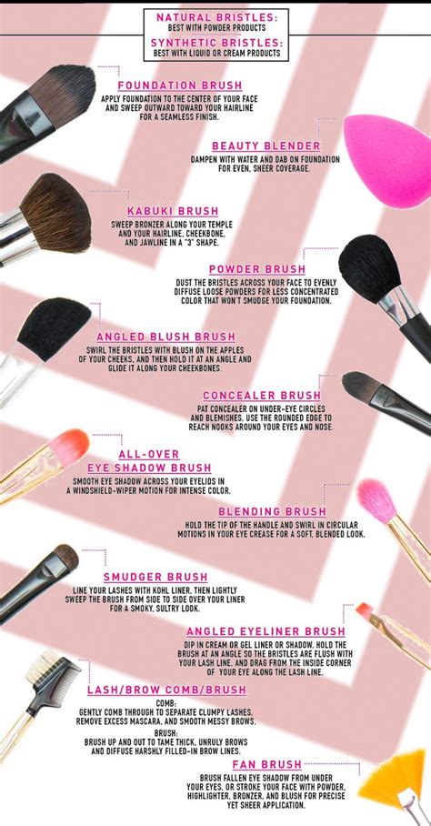 Makeup Brushes Pictures And Their Uses Makeupview Co