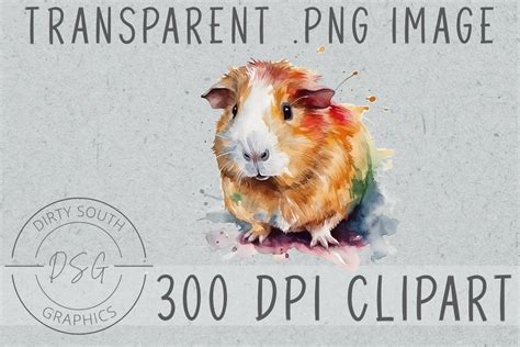 Watercolor Guinea Pig Clip Art Graphic By Dirty South Graphics