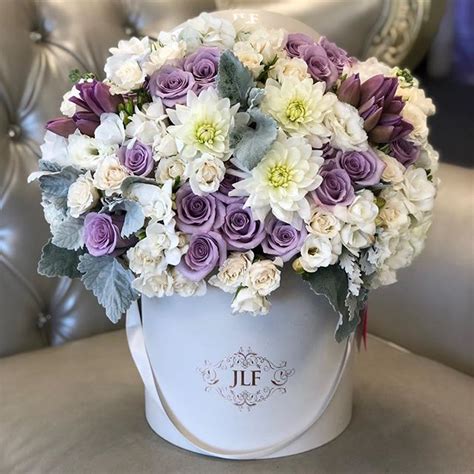 Lavender Crush Jlf Los Angeles Beautiful Rose Flowers White Flower