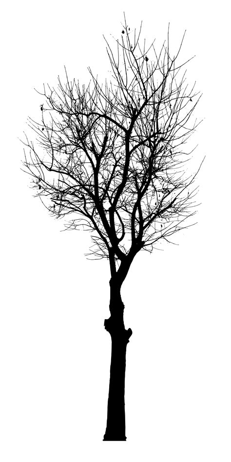 Black Tree Vector (SVG, PNG) | OnlyGFX.com