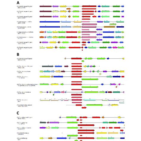 List Of Virulence Factors Identified In The Clostridium Perfringens