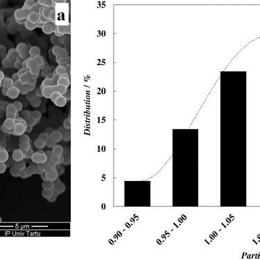 A High Resolution SEM Image And B Particle Size Distribution Obtained