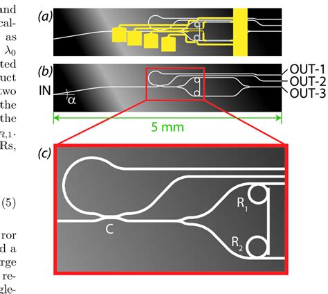 Schematic Of The Waveguide Chip A Shows The Complete Waveguide Chip