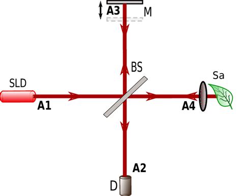 Schematic Of An Optical Coherence Tomography Setup Sld Light Source