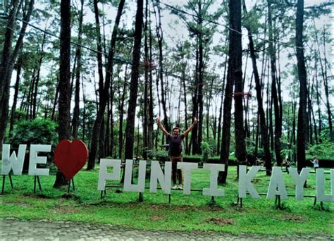 Liburan Seru Di Taman Wisata Alam Punti Kayu Indonesia Traveler