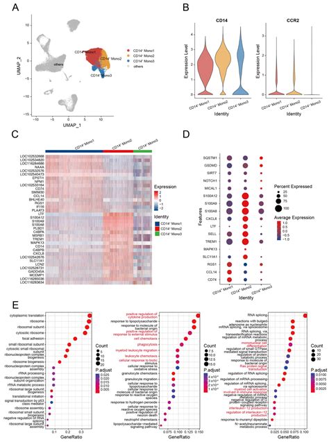 Biomolecules Free Full Text Single Cell Transcriptome Analysis Of