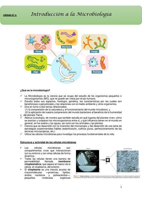 Resumen Microbiología ¿qué Es La Microbiología La Microbiología Es