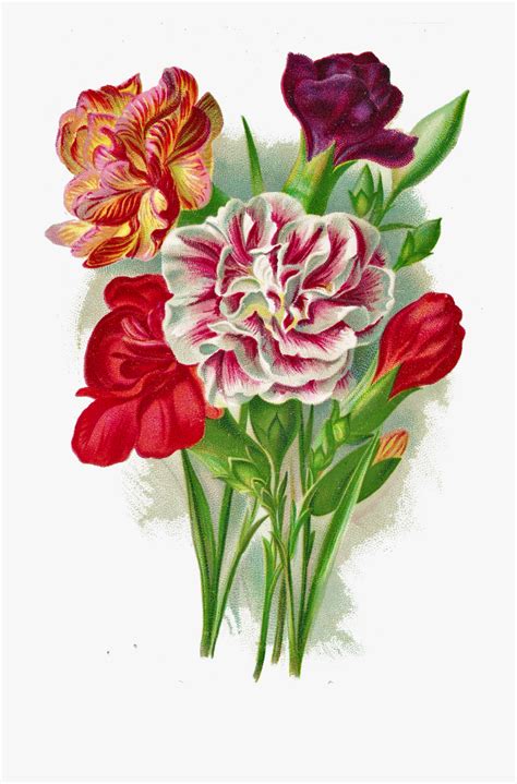 Carnation Clipart Vintage Bouquet Vintage Bouquet Clip Art