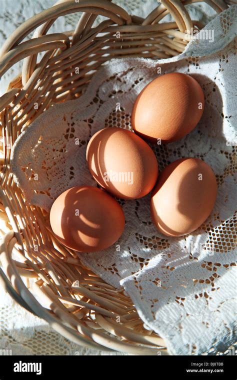 Organic Brown Eggs From Cage Free Free Range Chickens Fed A Vegetarian