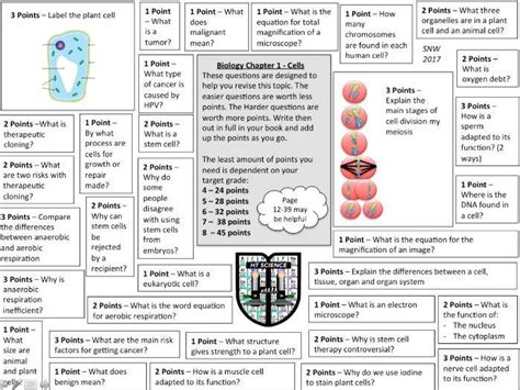 Pin On Gcse Biology Revision