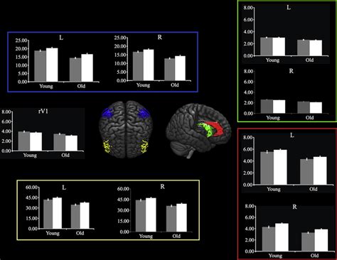 The Figure Represents Mean Values Of Grey Matter Volume Gmv In Each Download Scientific