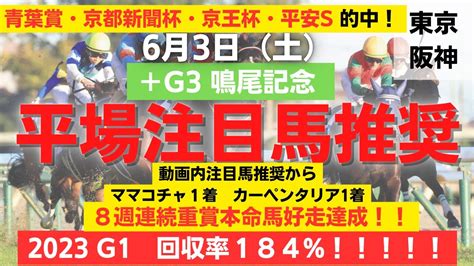 【平場予想】2023 6月3日 （土） 2場注目馬推奨＋g3 鳴尾記念 重賞回収率130 G1回収率184％ 8週連続重賞本命馬好走