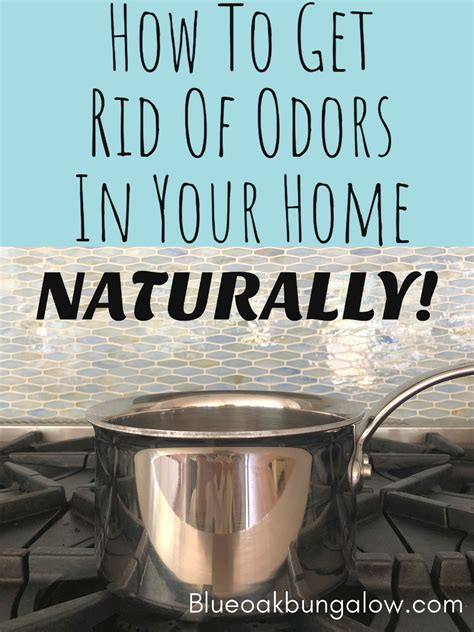 How To Remove Odors From Your Home Naturally Blue Oak Bungalow