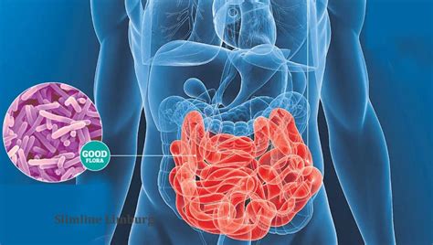 Vitamine B12 Tekort Symptomen Oorzaak Behandeling En Voeding