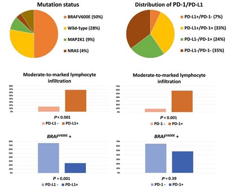 Mutation And Pd 1pd L1 Status A Distribution Of Braf V600e Nras