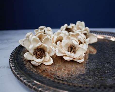 How To Dye Sola Wood Flowers Using Acrylic Paint Sola Flowers