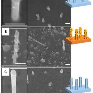 AFM 3D images 3x3 µm² of gold nanopillars covered by a spin coated