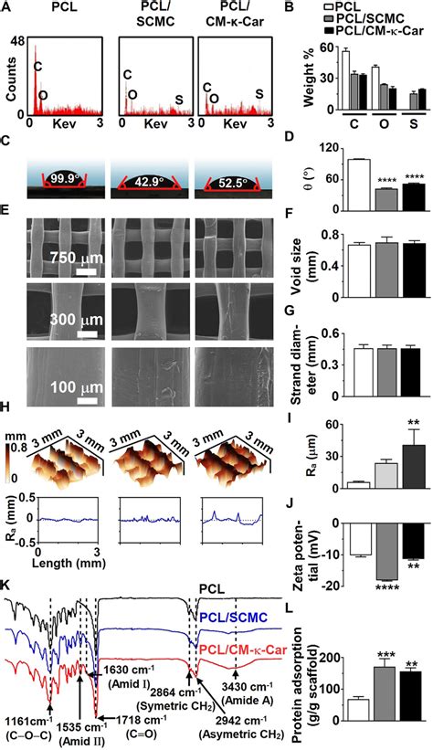 Effect Of Surface Functionalization Of 3d Printed Pcl Scaffolds By Scmc Download Scientific