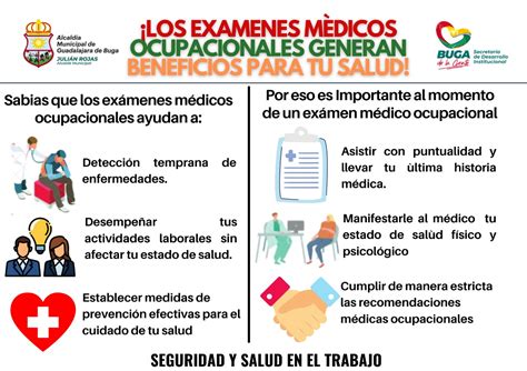 Tipos De Examenes Medicos Atelier Yuwa Ciao Jp