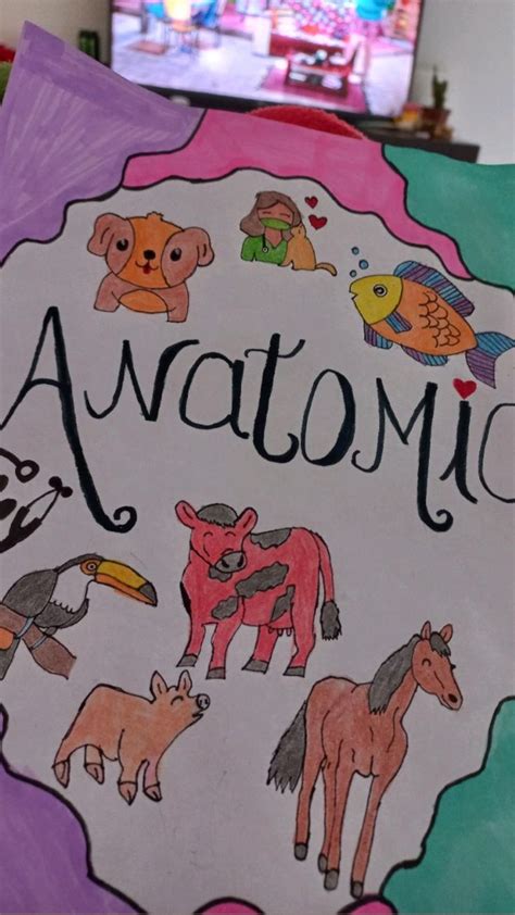 Capa De Anatomia