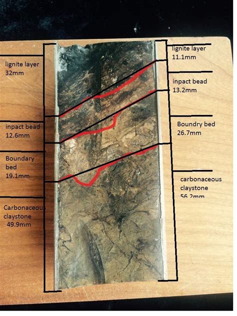 Kt Boundary Sample Hell Creek Cretaceous Dinosaurs Extinction