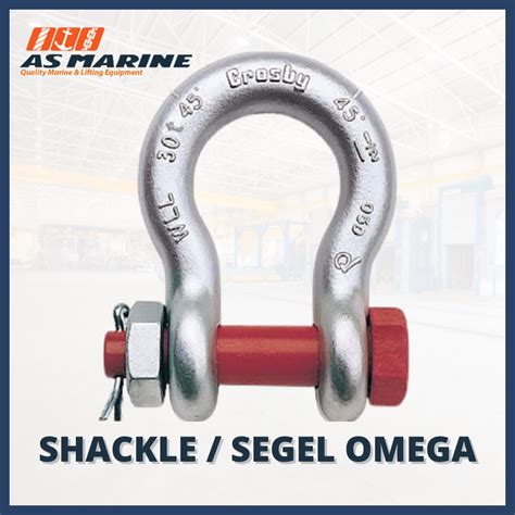 Jenis Dan Tipe Shackle Segel Pt Anugrah Sukses Marine