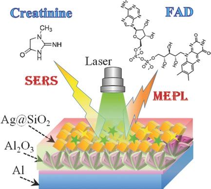 Advanced Healthcare Materials: Vol 6, No 10 