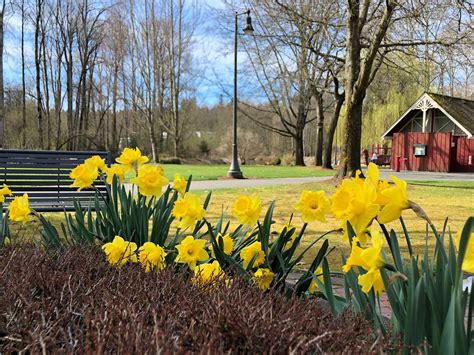 Park at Bothell Landing | Bothell WA