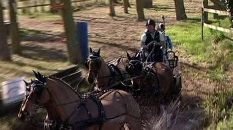 Horse driving lesson as championship reaches climax - BBC News