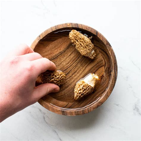 What Do Morels Taste Like Foraged Foraged