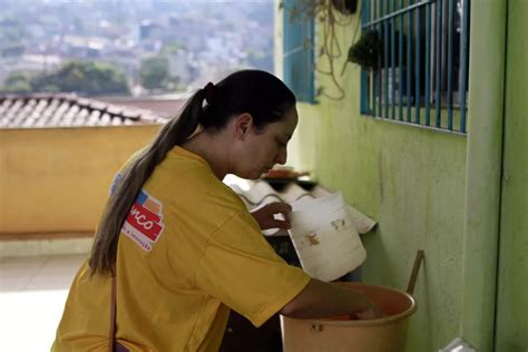 Franco contra a dengue Vila Rosalina recebe mutirão de combate ao