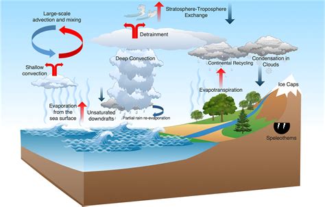 Stable Isotopes In Atmospheric Water Vapor And Applications To The