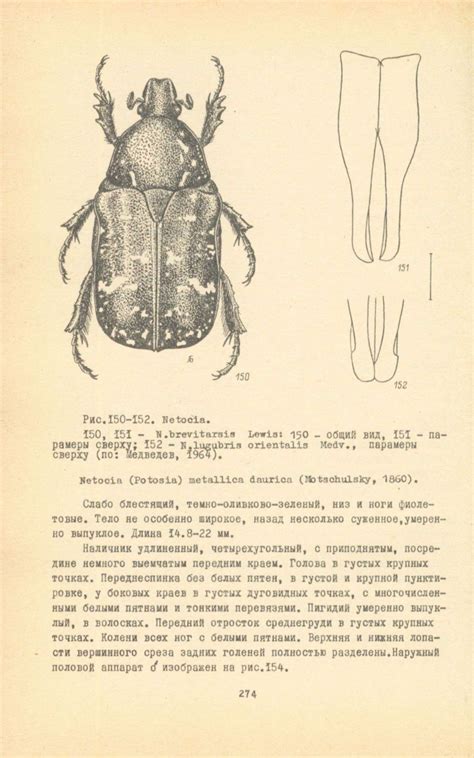 Insects of Mongolia, Volume 9 [Russian] | NHBS Academic & Professional ...