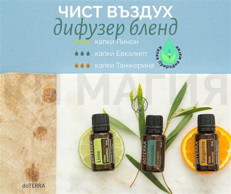 Дифузер бленд "Чист въздух" с етерични масла на Дотера / doTERRA ...