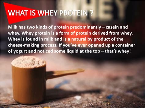 Ppt Whey Protein Powders Types Benefits And The List Of Best Whey