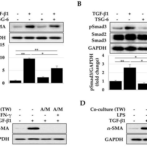 Inhibition Of Tsg Expression By Jak Inhibitors Cells Were Treated