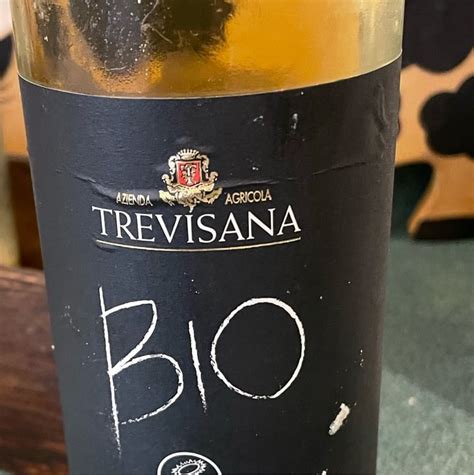 Trevisana Bio Pinot Grigio Wine Review Abillion