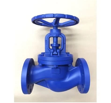 Cast Iron Ci Flanged Globe Valve Size 25 Mm To 200 Mm At Rs 1000number In Ahmedabad