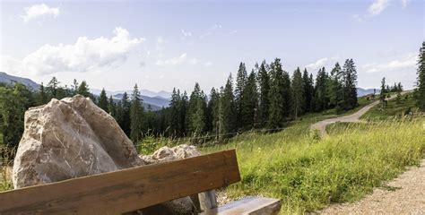 Sommerurlaub Im Salzburger Saalachtal