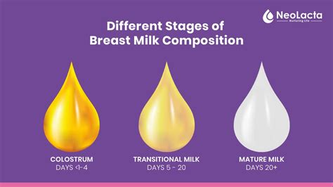 Different stages of Breastmilk composition | NeoLacta Lifesciences