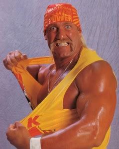 Recent Hulk Hogan interview – Online World of Wrestling