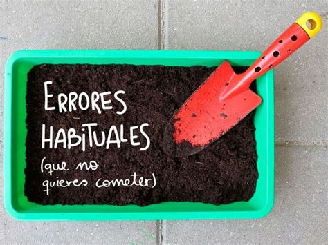 Errores Comunes A La Hora De Empezar Un Huerto Aquaponics Organic