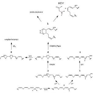 (PDF) DNA damage caused by lipid peroxidation products